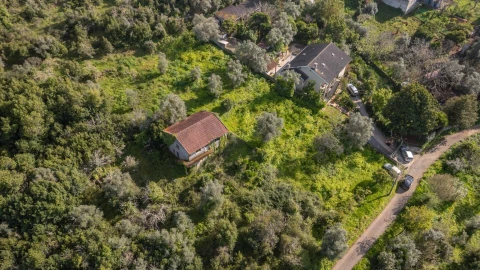 Terreno para Venda em Eiras e São Paulo de Frades