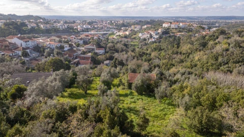 Terreno para Venda em Eiras e São Paulo de Frades