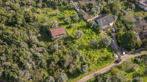 Terreno para Venda em Eiras e São Paulo de Frades