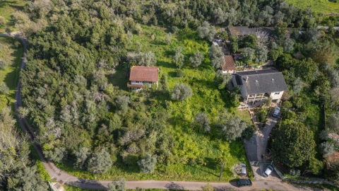 Terreno para Venda em Eiras e São Paulo de Frades