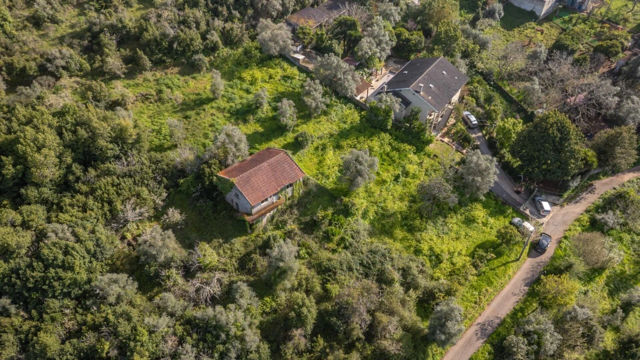Terreno para Venda em Eiras e São Paulo de Frades Foto 13