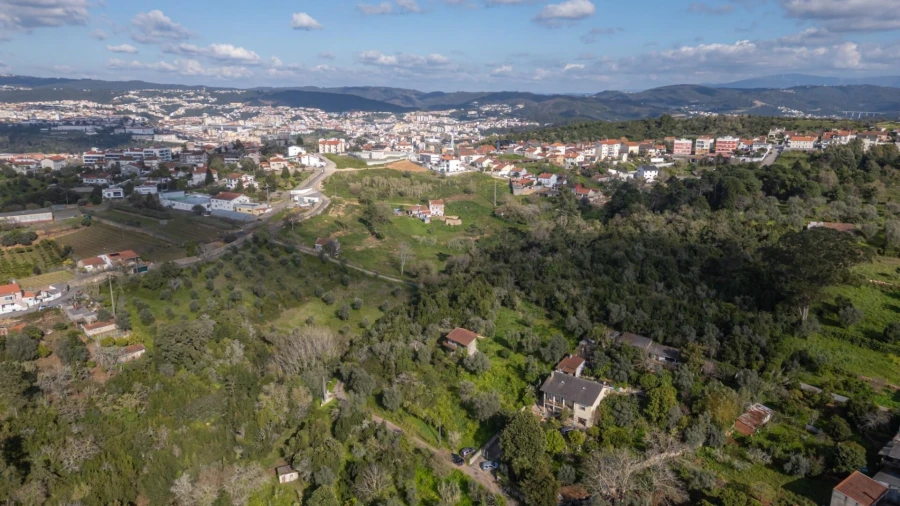 Terreno para Venda em Eiras e São Paulo de Frades Foto 25