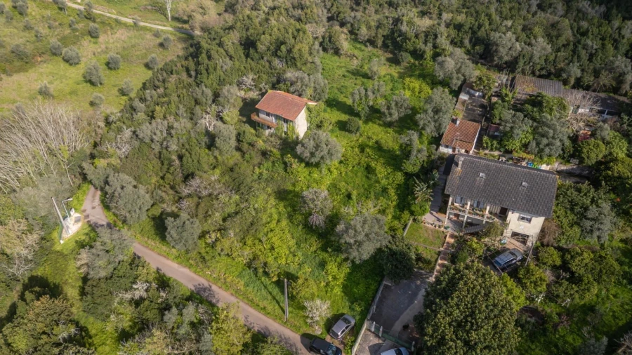 Terreno para Venda em Eiras e São Paulo de Frades Foto 18