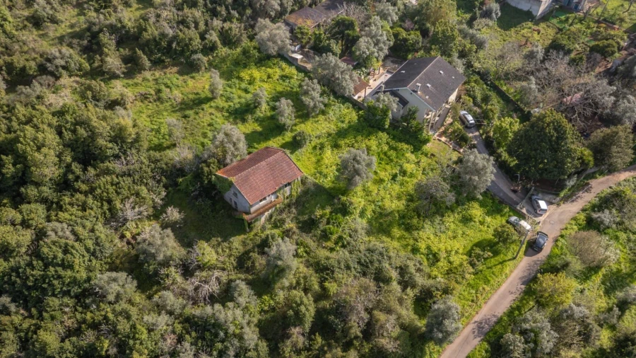 Terreno para Venda em Eiras e São Paulo de Frades Foto 13