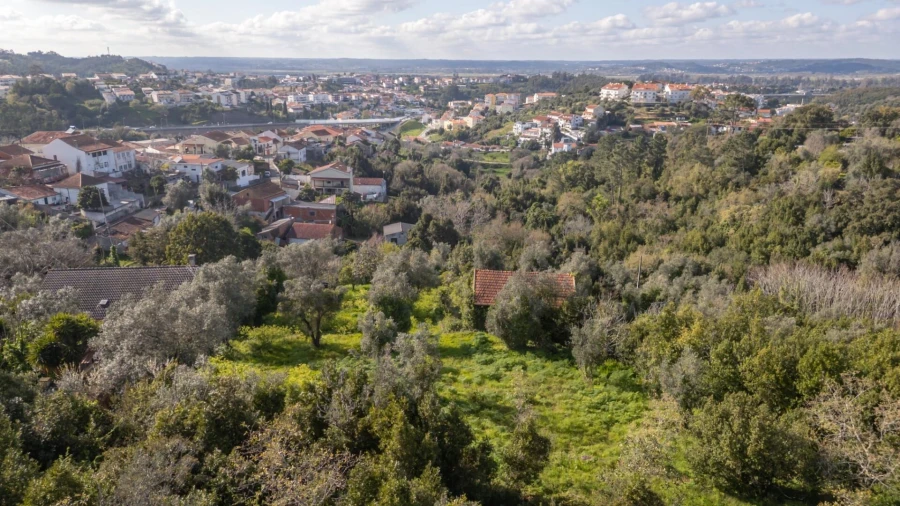 Terreno para Venda em Eiras e São Paulo de Frades Foto 10