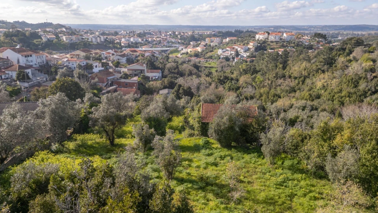 Terreno para Venda em Eiras e São Paulo de Frades Foto 11