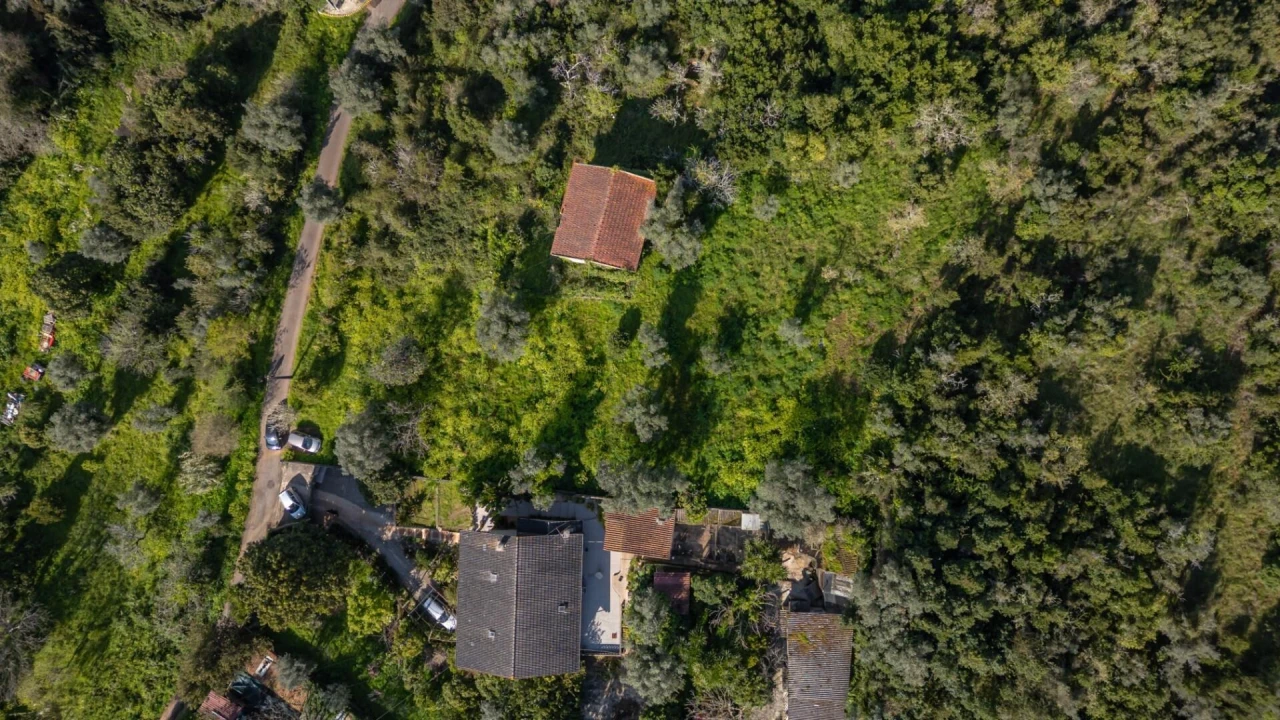 Terreno para Venda em Eiras e São Paulo de Frades Foto 14