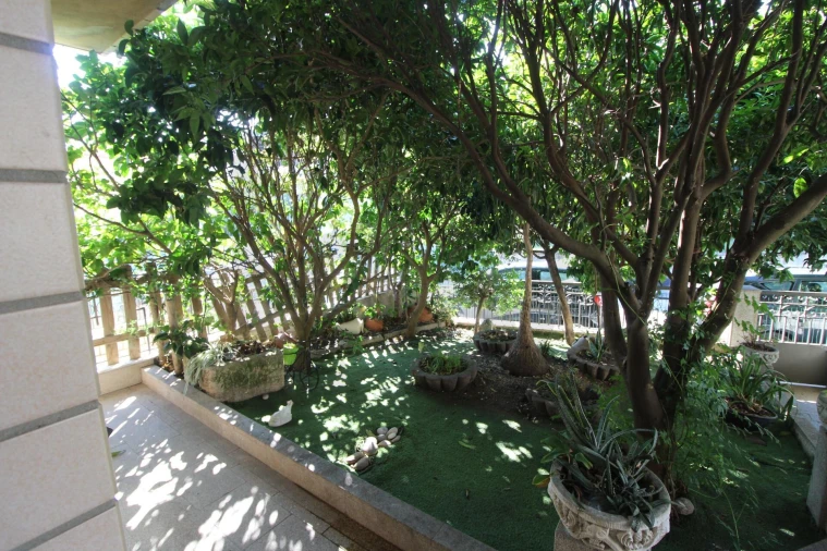 Apartamento T3 para Venda em Figueiredo Foto 20