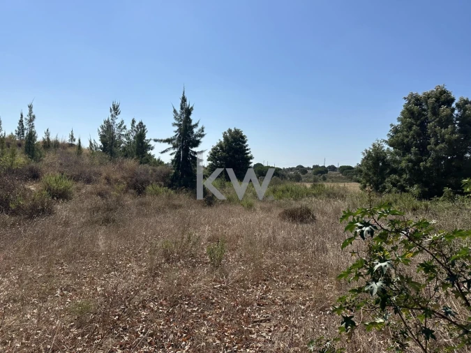 Terreno para Venda em Setubal (São Sebastião) Foto 6