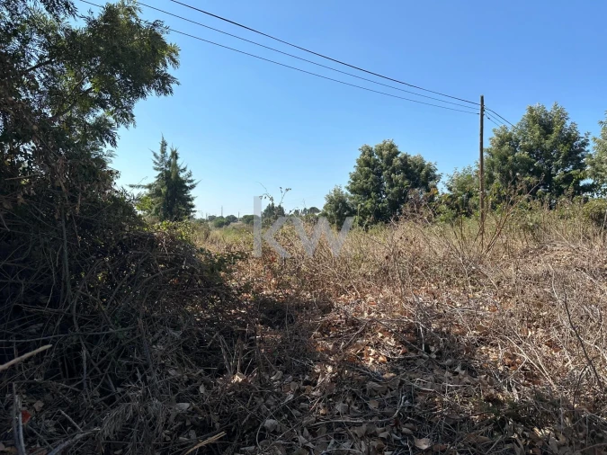 Terreno para Venda em Setubal (São Sebastião) Foto 4