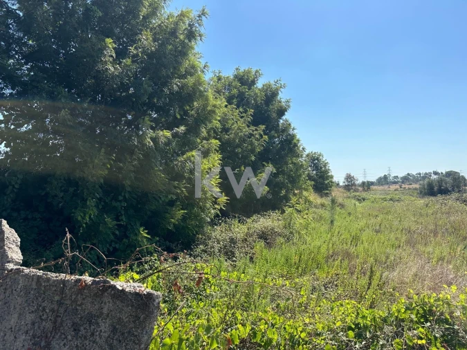 Terreno para Venda em Setubal (São Sebastião) Foto 5