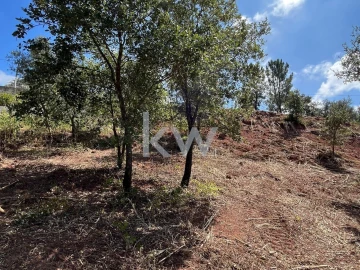 Terreno para Venda em Souselas e Botão