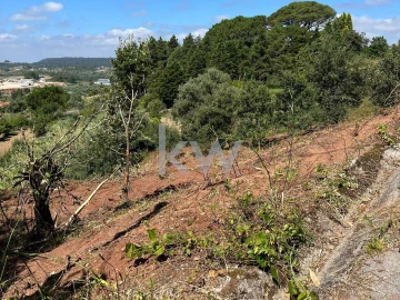 Terreno para Venda em Souselas e Botão