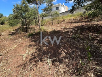 Terreno para Venda em Souselas e Botão