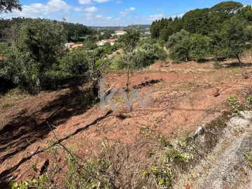 Terreno para Venda em Souselas e Botão