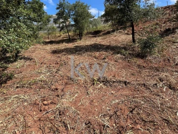 Terreno para Venda em Souselas e Botão