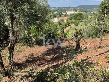 Terreno para Venda em Souselas e Botão