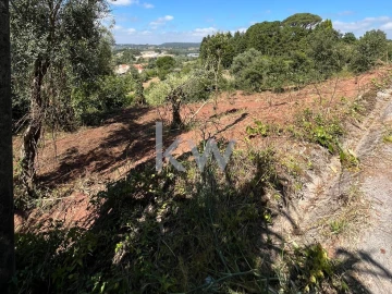 Terreno para Venda em Souselas e Botão