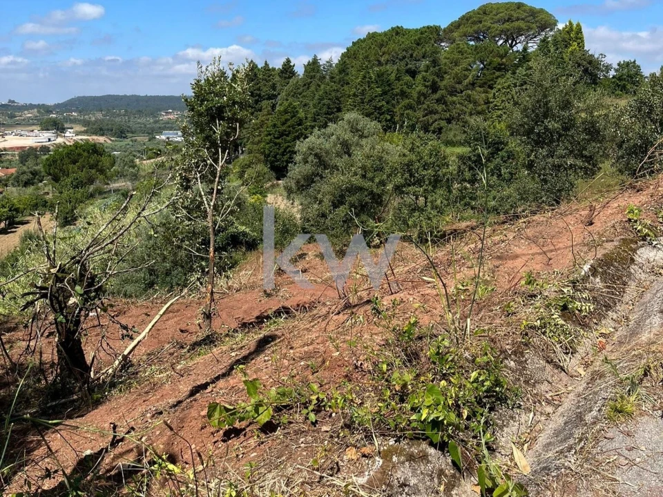 Terreno para Venda em Souselas e Botão Foto 5