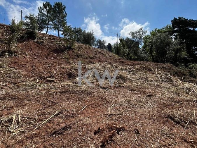 Terreno para Venda em Souselas e Botão Foto 11