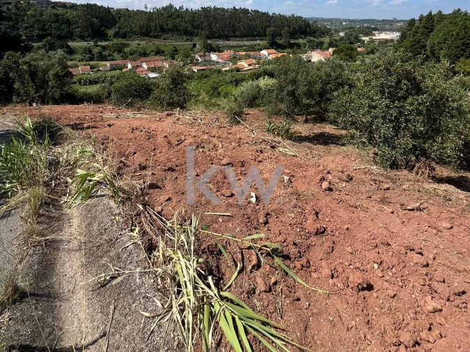 Terreno para Venda em Souselas e Botão Foto 3