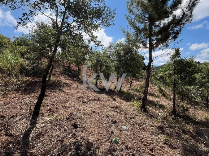 Terreno para Venda em Souselas e Botão Foto 15