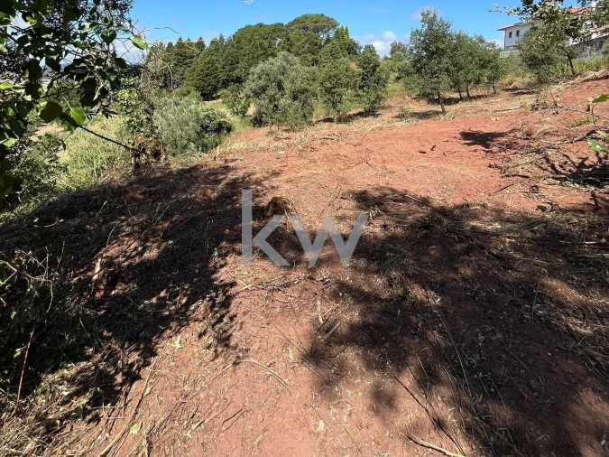 Terreno para Venda em Souselas e Botão Foto 9