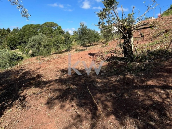 Terreno para Venda em Souselas e Botão Foto 8