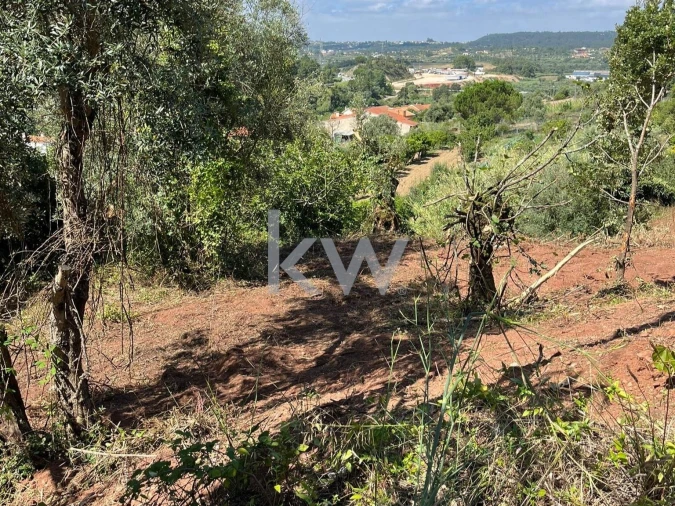 Terreno para Venda em Souselas e Botão Foto 2