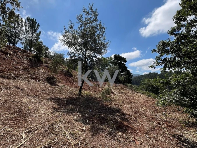 Terreno para Venda em Souselas e Botão Foto 13