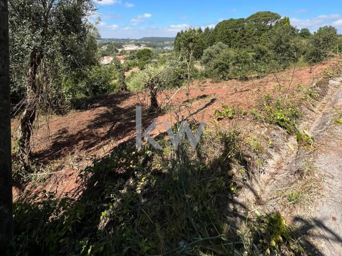 Terreno para Venda em Souselas e Botão Foto 6