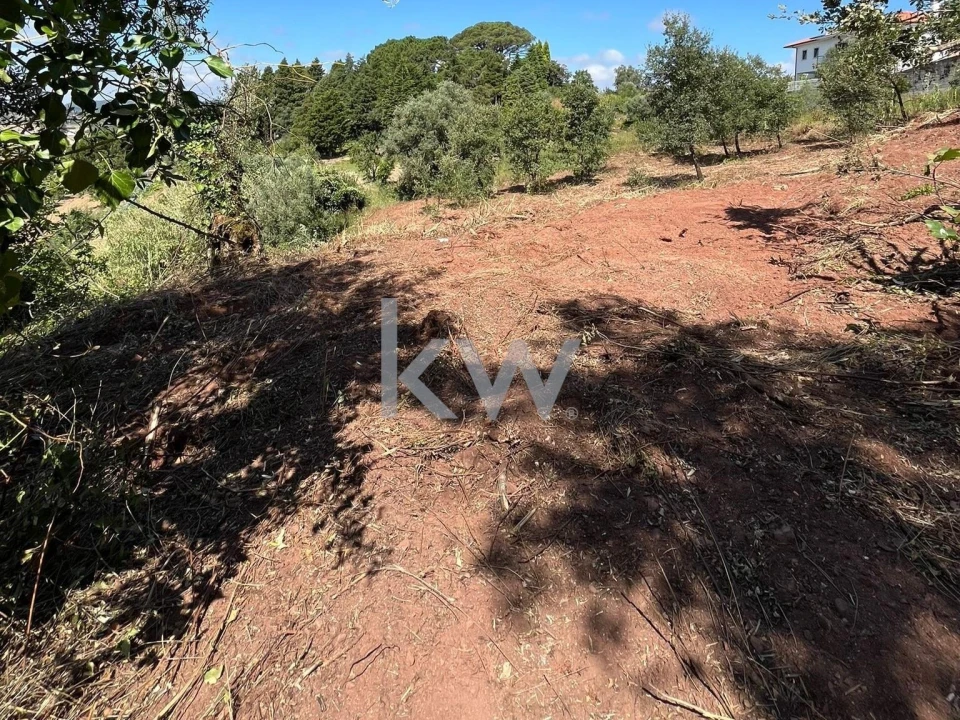 Terreno para Venda em Souselas e Botão Foto 9
