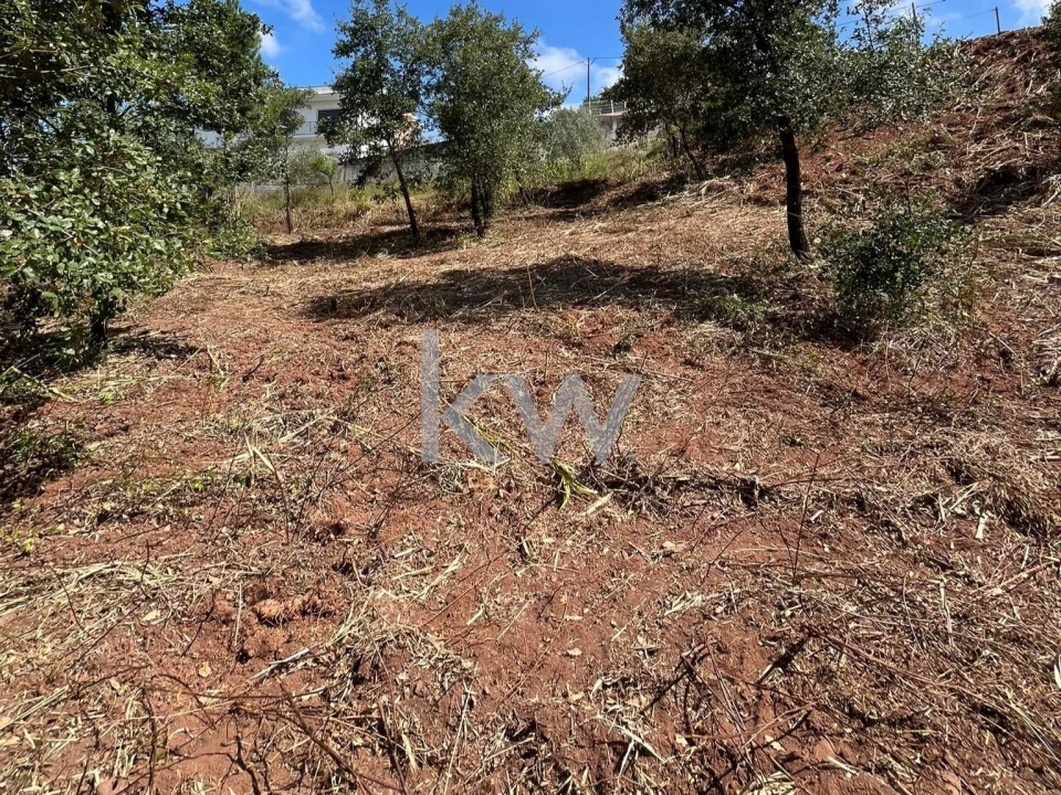 Terreno para Venda em Souselas e Botão Foto 10