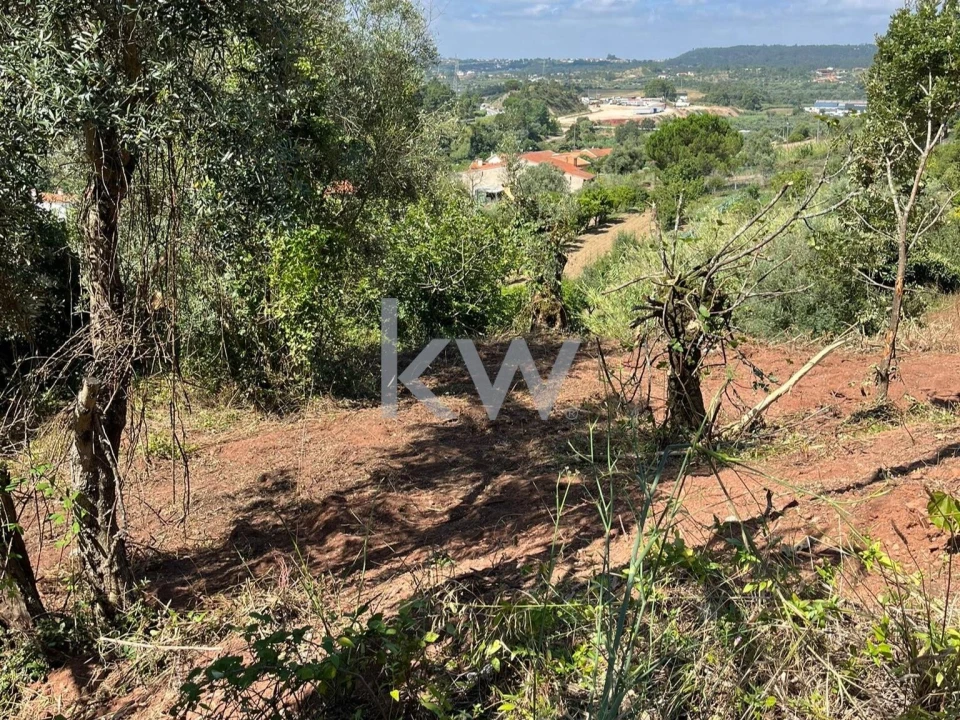 Terreno para Venda em Souselas e Botão Foto 2