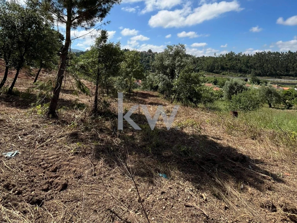 Terreno para Venda em Souselas e Botão Foto 16
