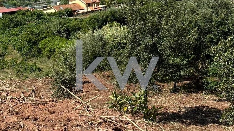 Terreno para Venda em Souselas e Botão