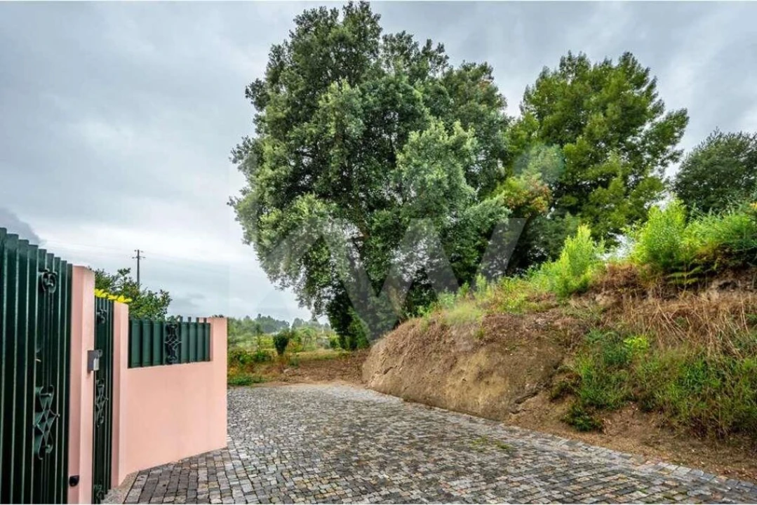 Terreno para Venda em Parada de Todeia Foto 2