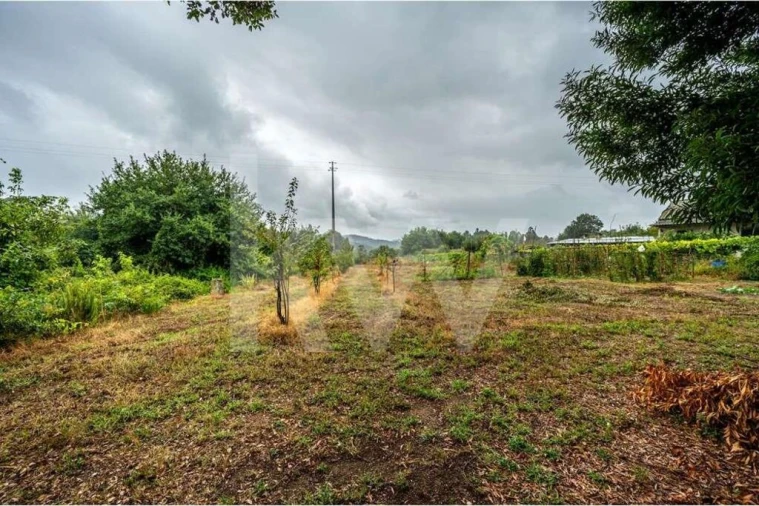 Terreno para Venda em Parada de Todeia Foto 3