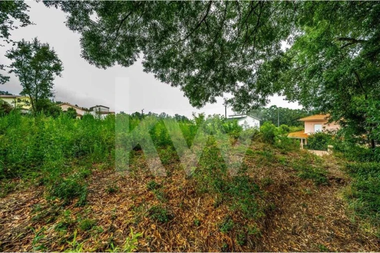 Terreno para Venda em Parada de Todeia Foto 9