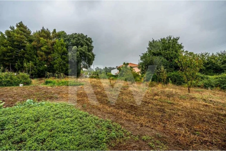 Terreno para Venda em Parada de Todeia Foto 8