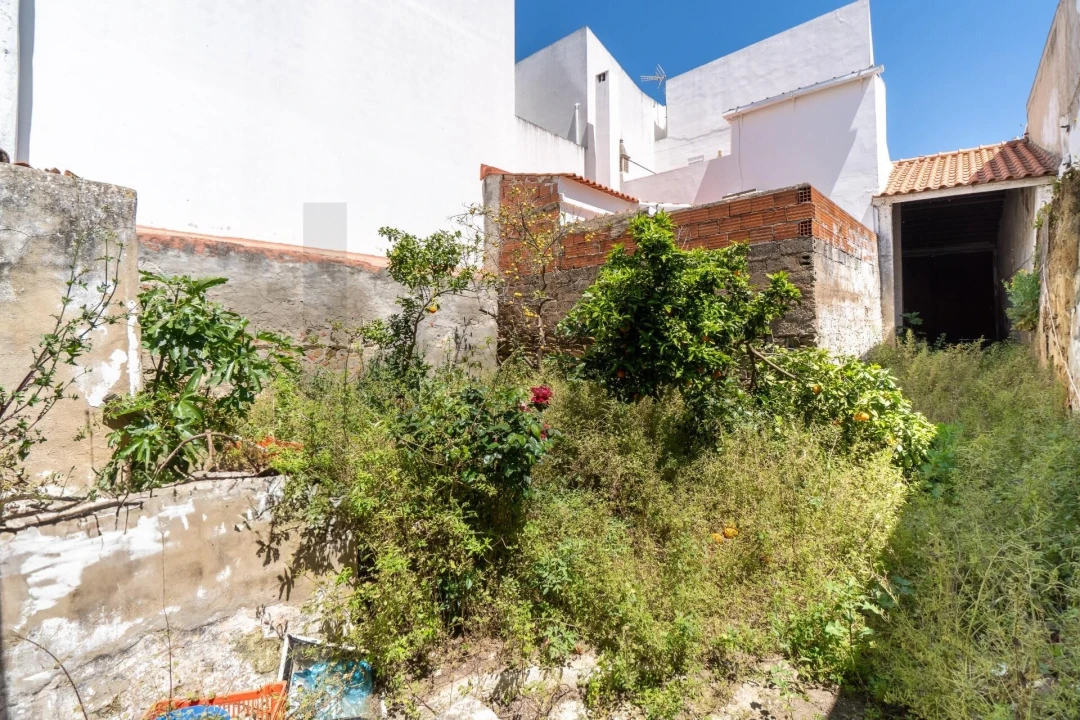 Prédio para Venda em Almodôvar e Graça dos Padrões Foto 41