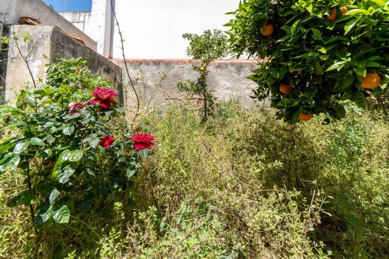 Prédio para Venda em Almodôvar e Graça dos Padrões Foto 42