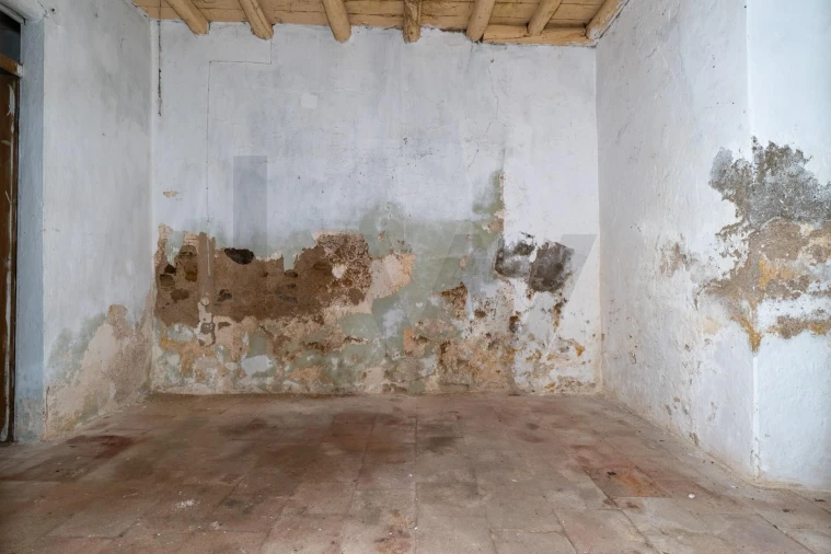 Prédio para Venda em Almodôvar e Graça dos Padrões Foto 63