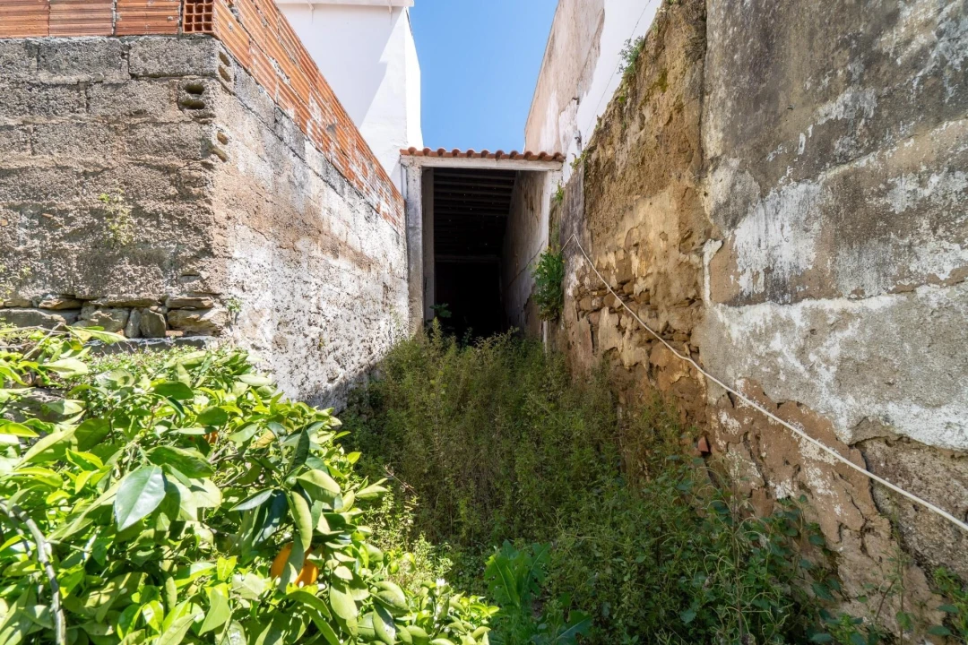 Prédio para Venda em Almodôvar e Graça dos Padrões Foto 44