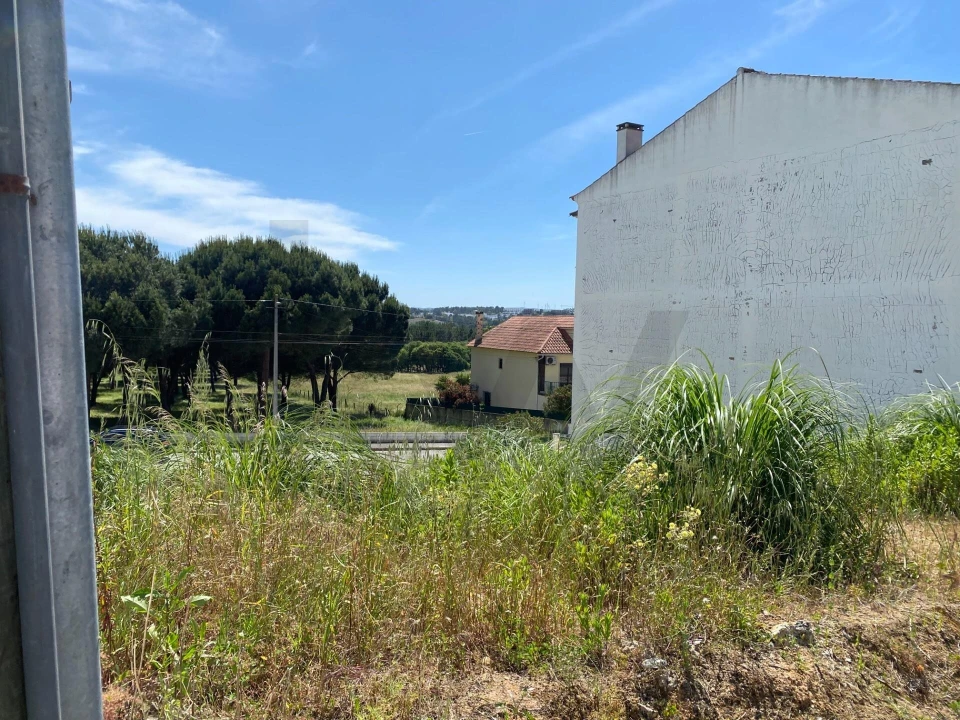 Terreno para Venda em Rio Maior Foto 8