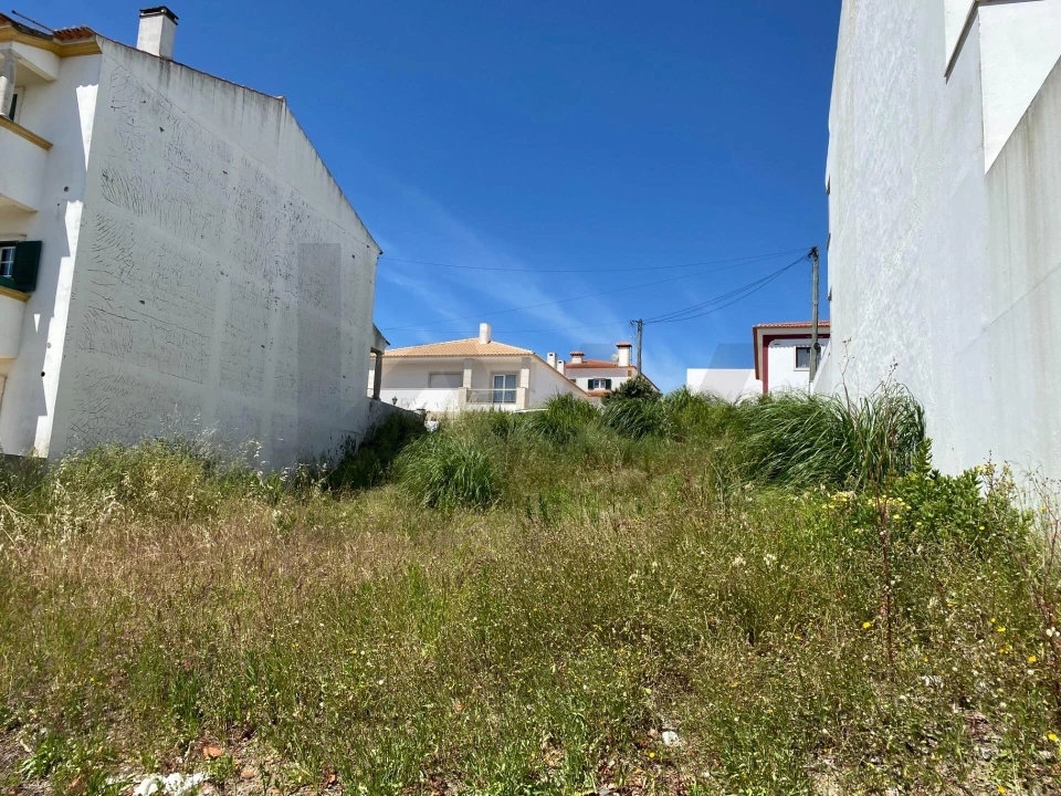 Terreno para Venda em Rio Maior Foto 6
