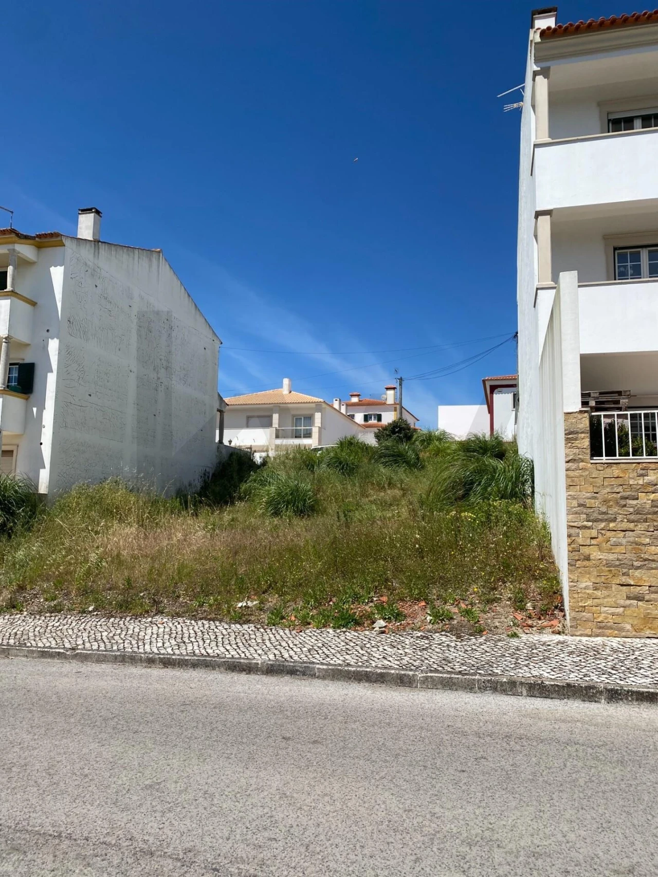 Terreno para Venda em Rio Maior Foto 4