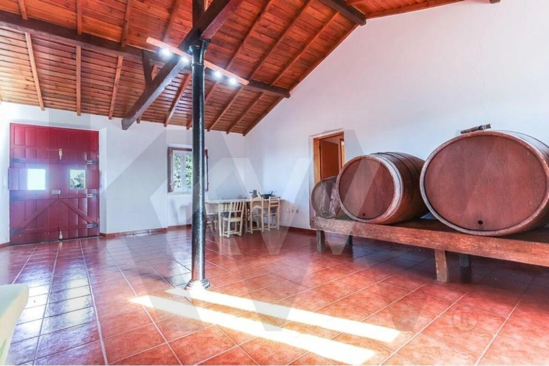 Quinta T6 para Venda em São Francisco da Serra Foto 24