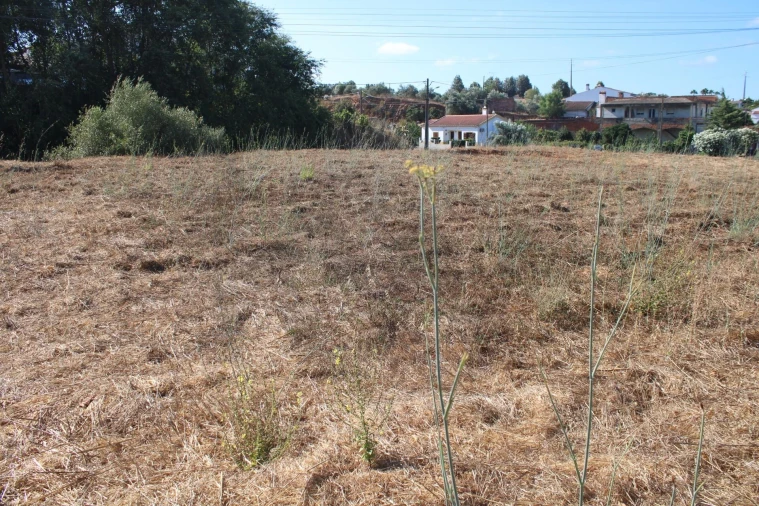 Moradia T3 para Venda em Garvão e Santa Luzia Foto 25
