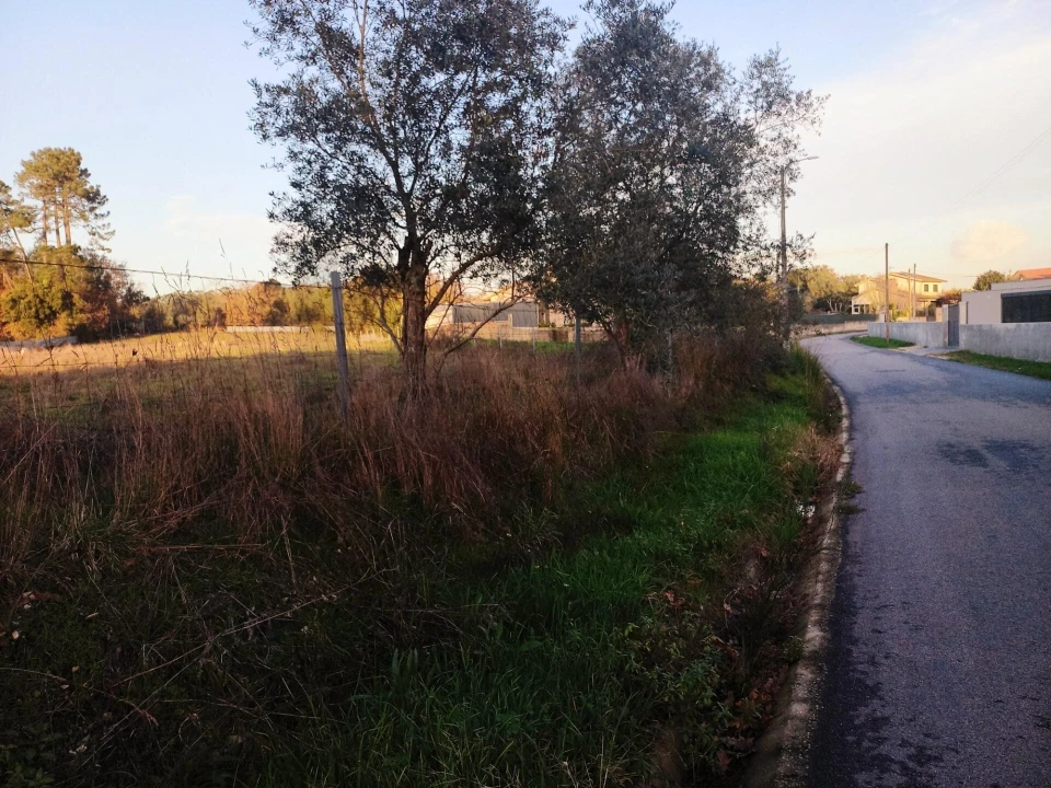 Terreno para Venda em Travassô e Óis da Ribeira Foto 1